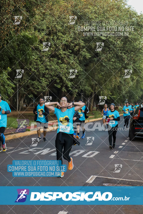 2ª (AMP) Run 