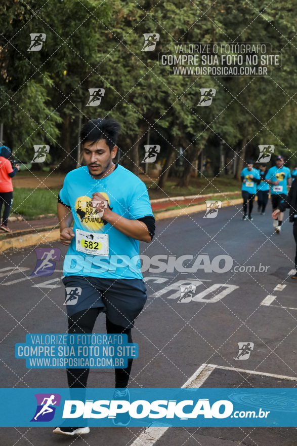 2ª (AMP) Run 