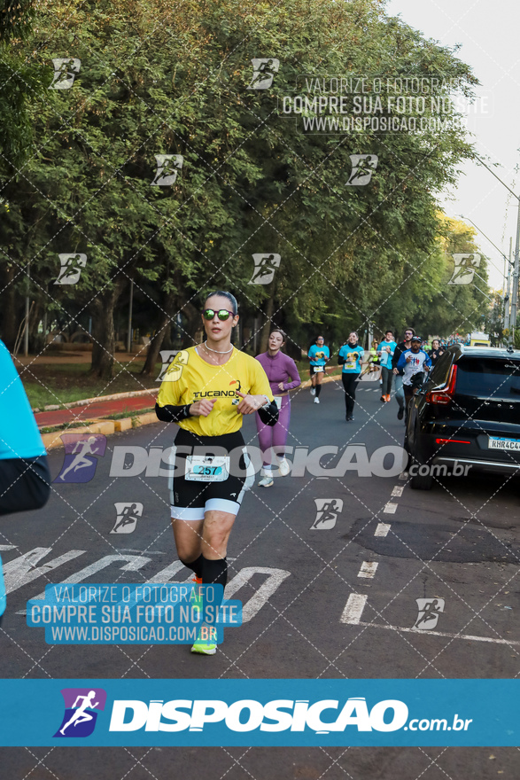 2ª (AMP) Run 