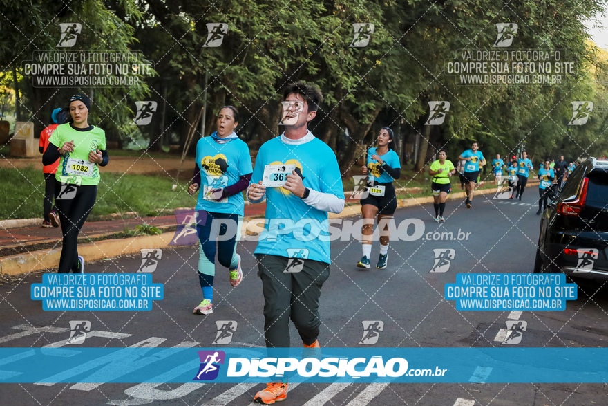 2ª (AMP) Run 