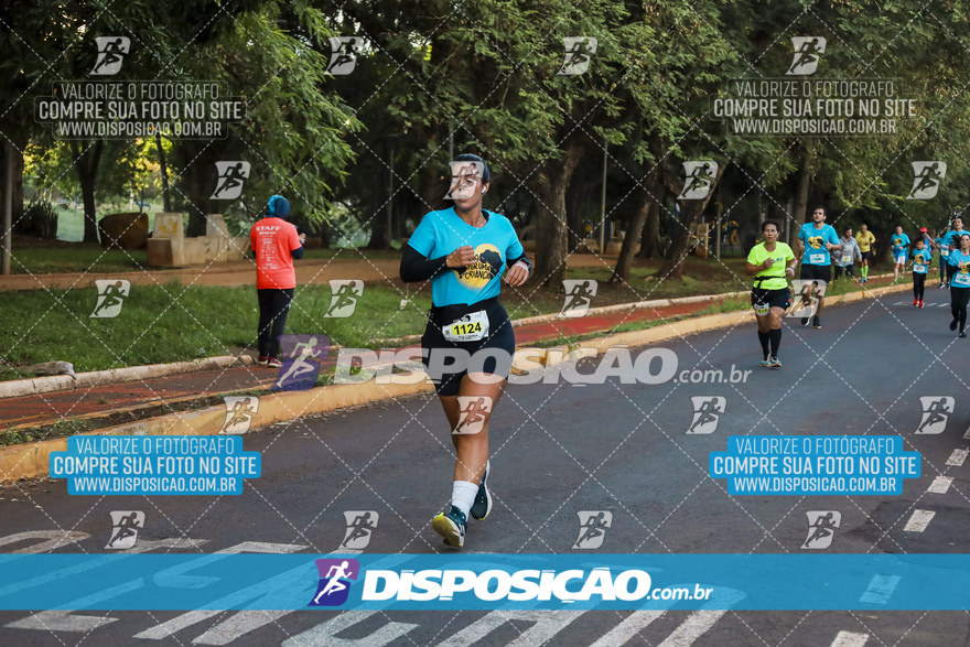 2ª (AMP) Run 