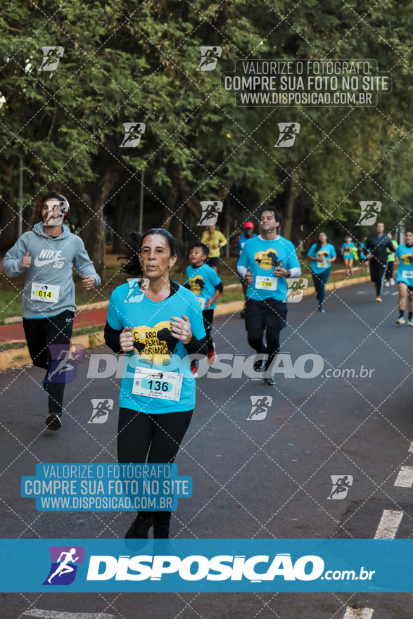 2ª (AMP) Run 