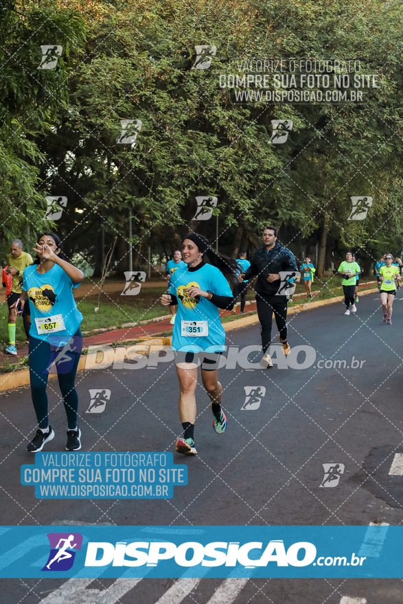 2ª (AMP) Run 