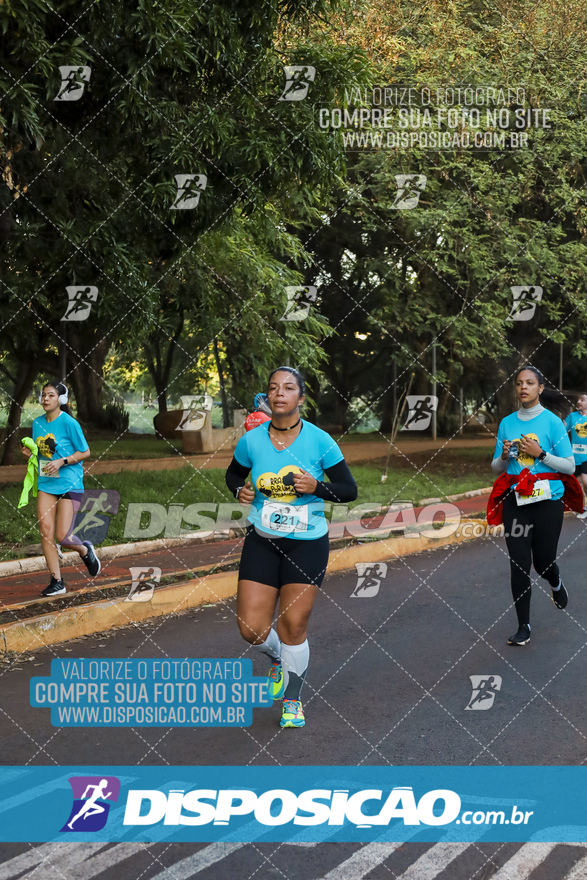 2ª (AMP) Run 