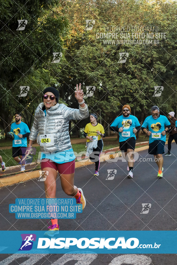 2ª (AMP) Run 