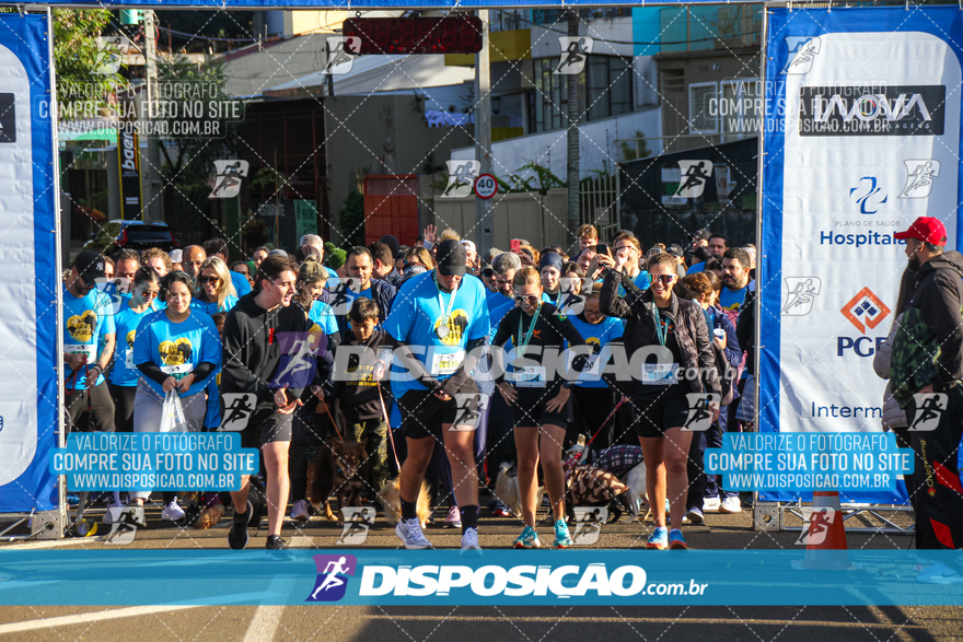 2ª (AMP) Run 