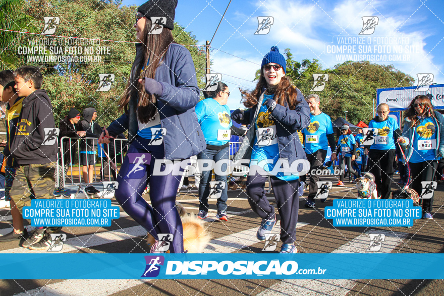 2ª (AMP) Run 