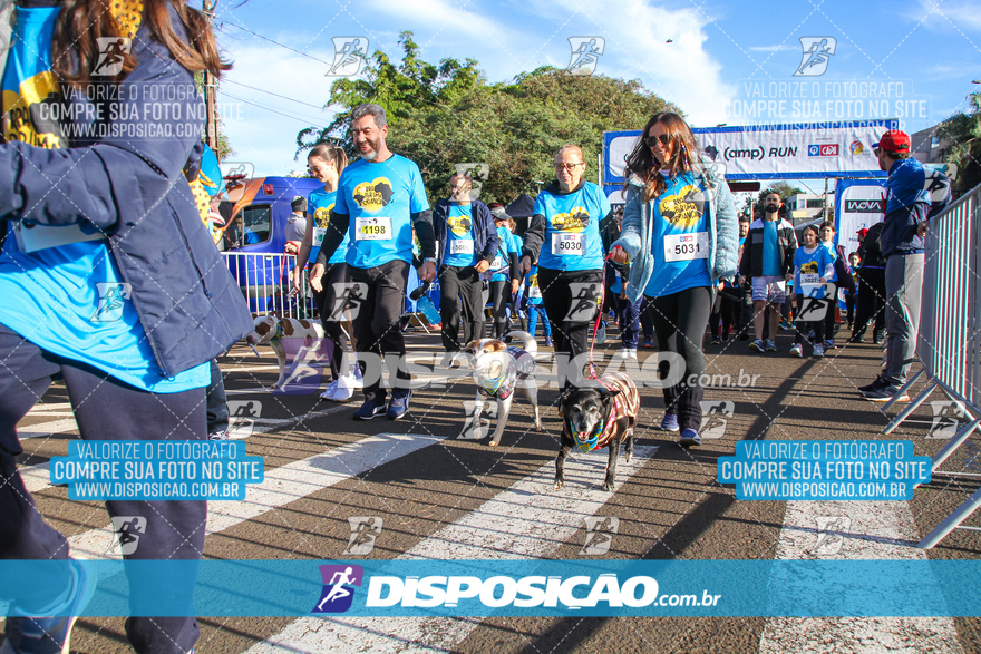 2ª (AMP) Run 