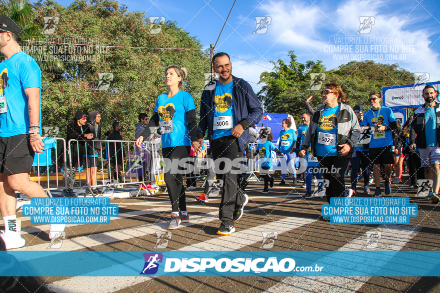 2ª (AMP) Run 