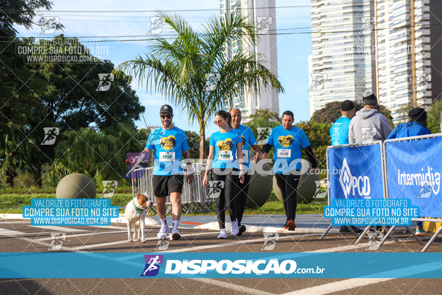 2ª (AMP) Run 