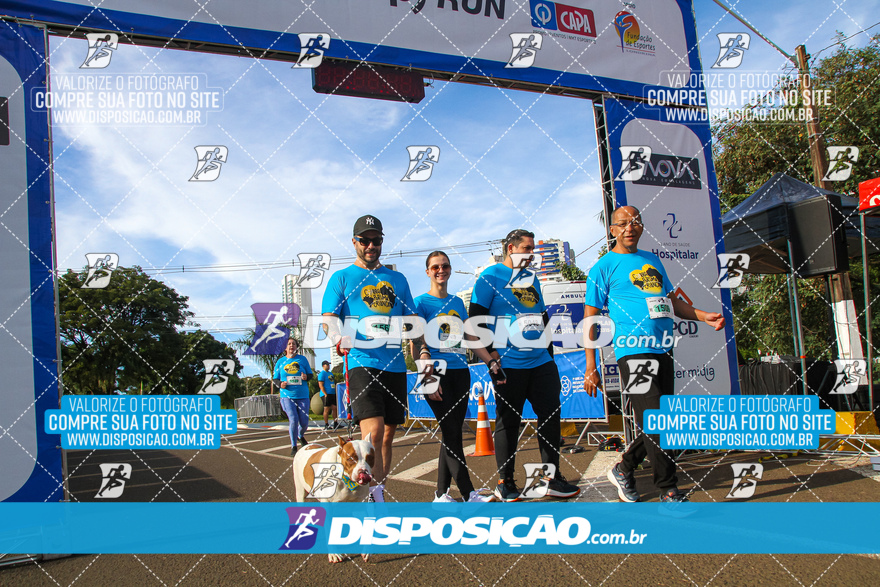 2ª (AMP) Run 