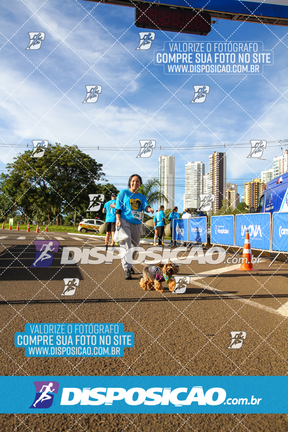 2ª (AMP) Run 