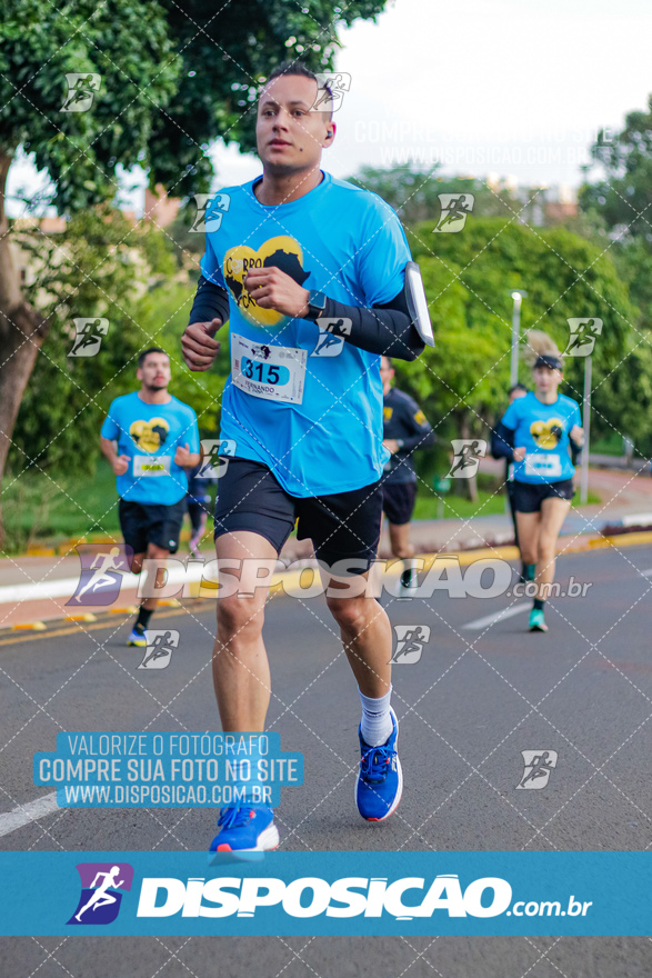 2ª (AMP) Run 