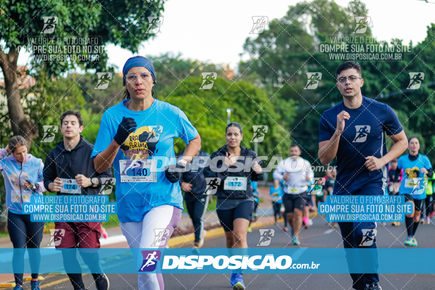 2ª (AMP) Run 