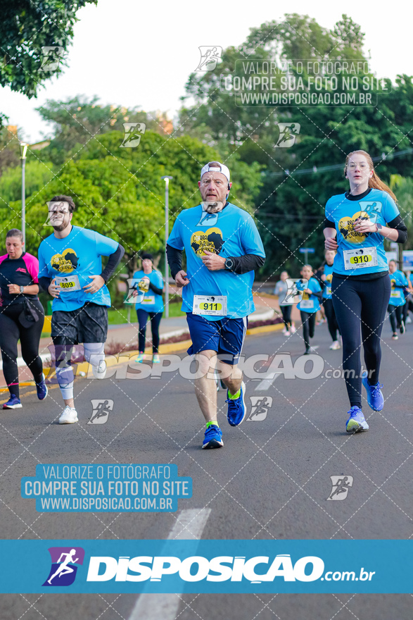 2ª (AMP) Run 