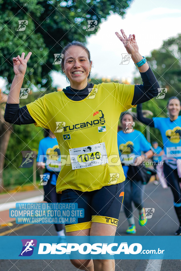 2ª (AMP) Run 