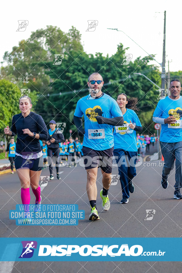 2ª (AMP) Run 