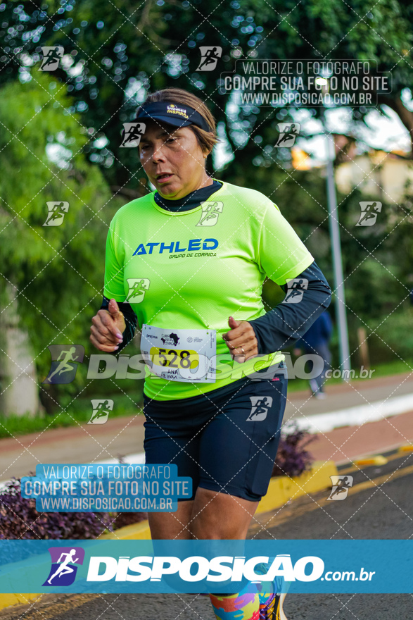 2ª (AMP) Run 