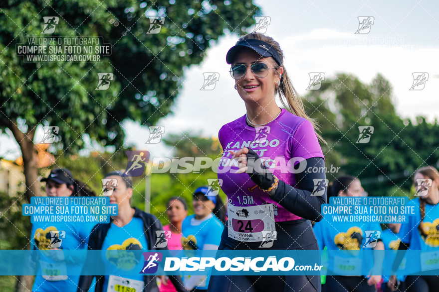 2ª (AMP) Run 