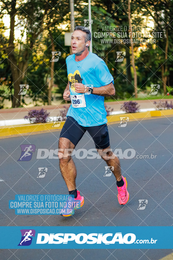 2ª (AMP) Run 