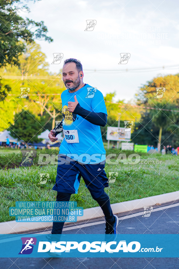 2ª (AMP) Run 