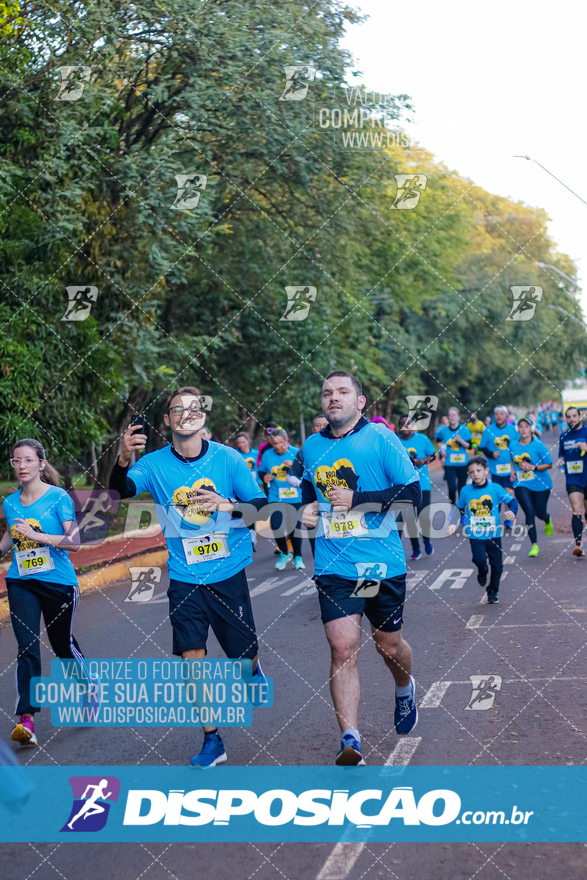 2ª (AMP) Run 