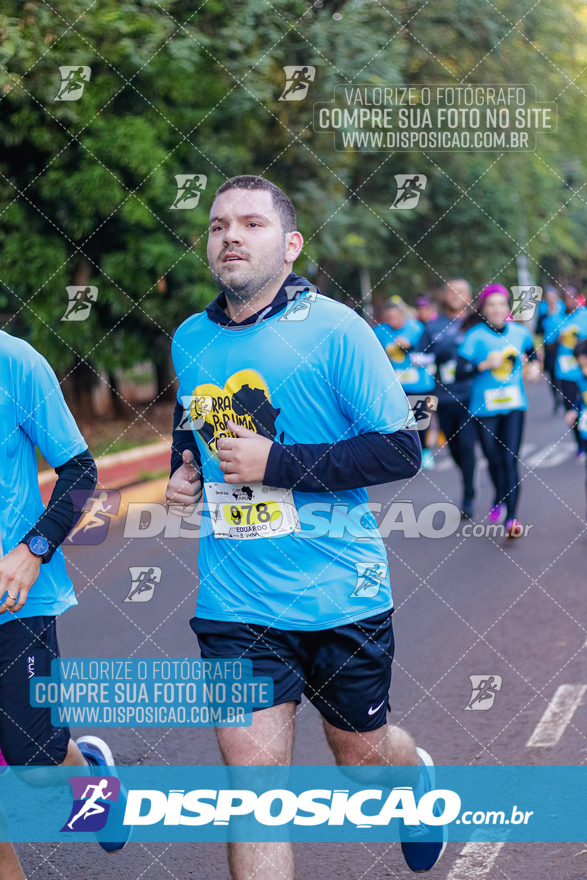 2ª (AMP) Run 