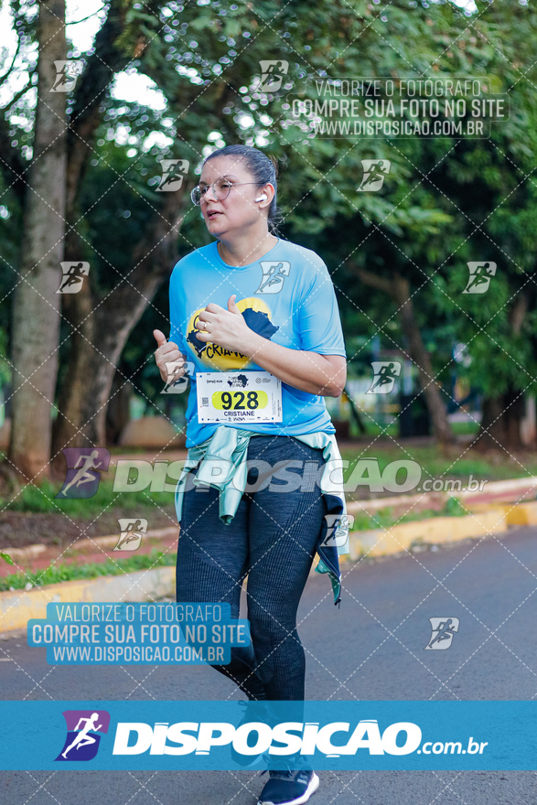 2ª (AMP) Run 