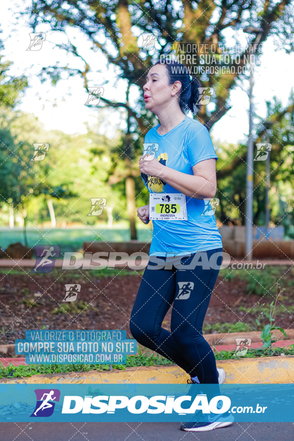 2ª (AMP) Run 