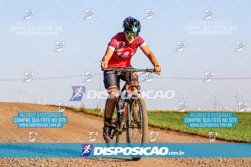 V Desafio MTB Marialva