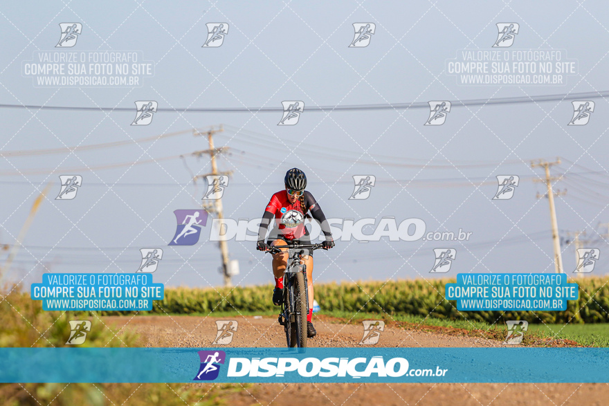 V Desafio MTB Marialva