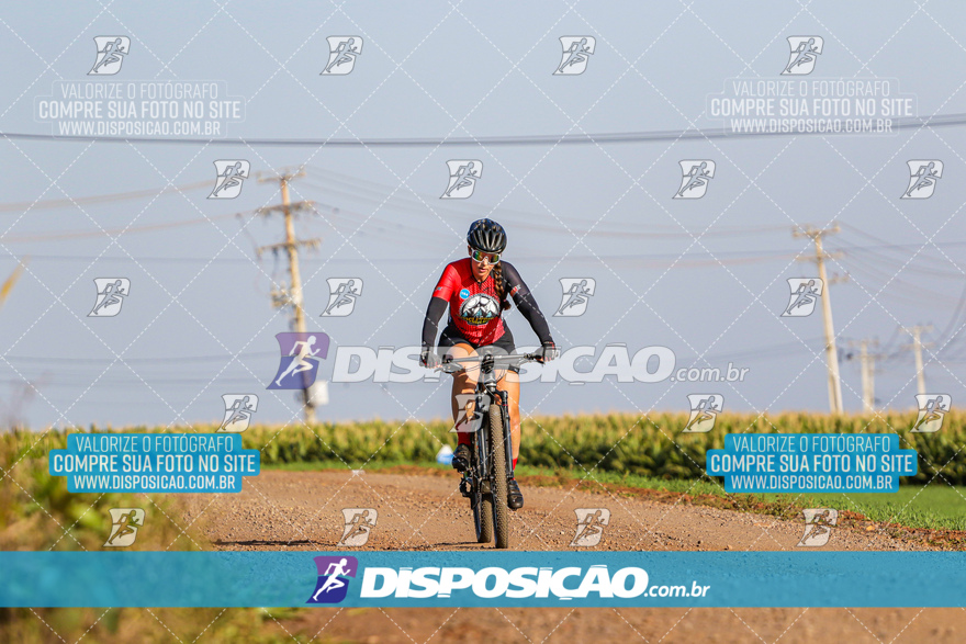 V Desafio MTB Marialva