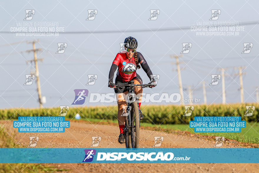 V Desafio MTB Marialva