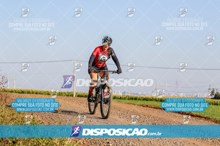 V Desafio MTB Marialva