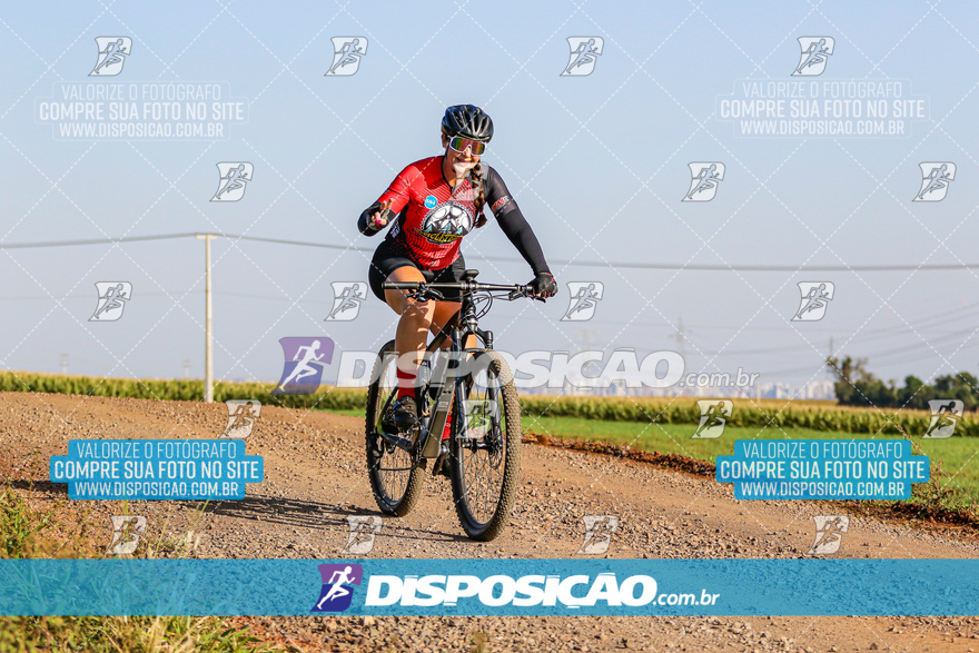 V Desafio MTB Marialva