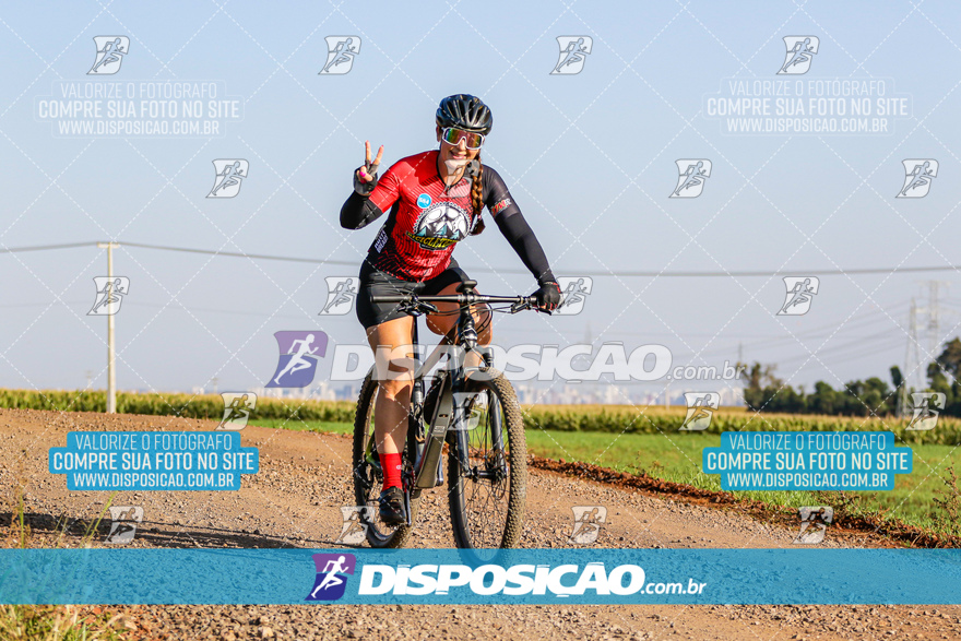 V Desafio MTB Marialva