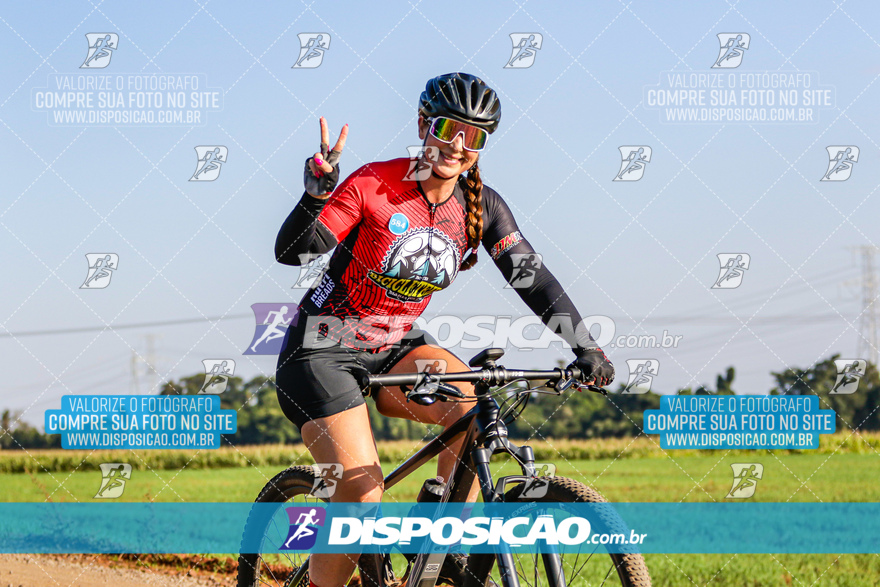 V Desafio MTB Marialva