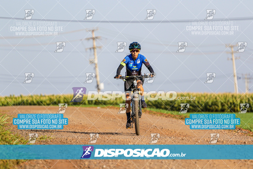 V Desafio MTB Marialva