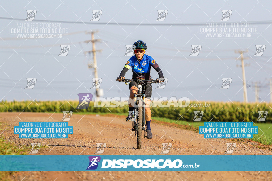 V Desafio MTB Marialva