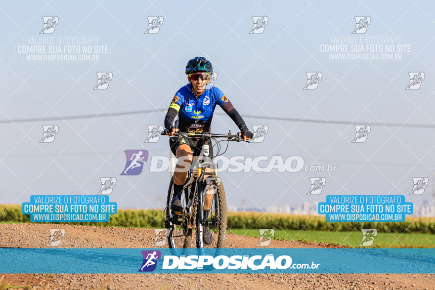 V Desafio MTB Marialva