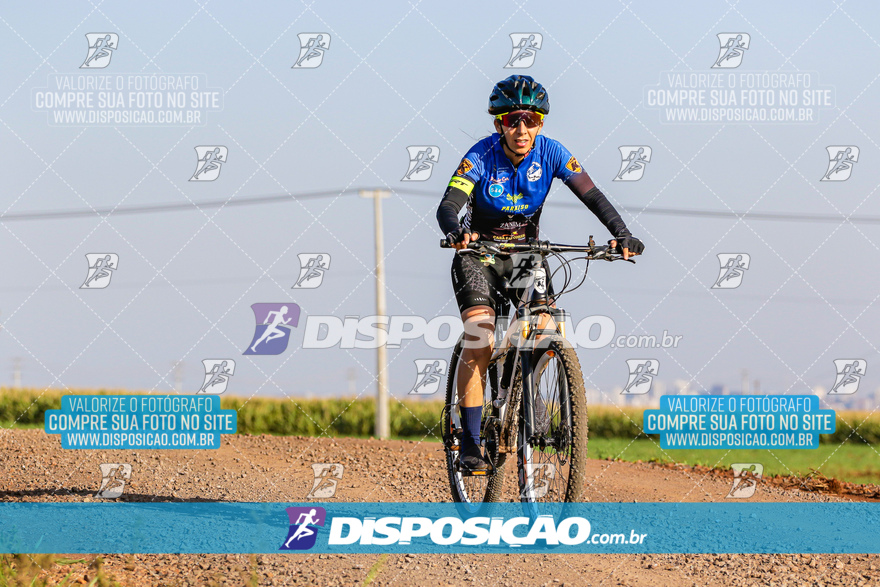 V Desafio MTB Marialva