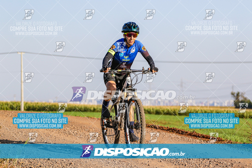 V Desafio MTB Marialva