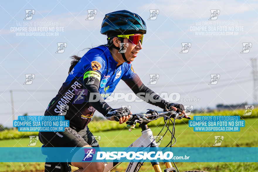 V Desafio MTB Marialva