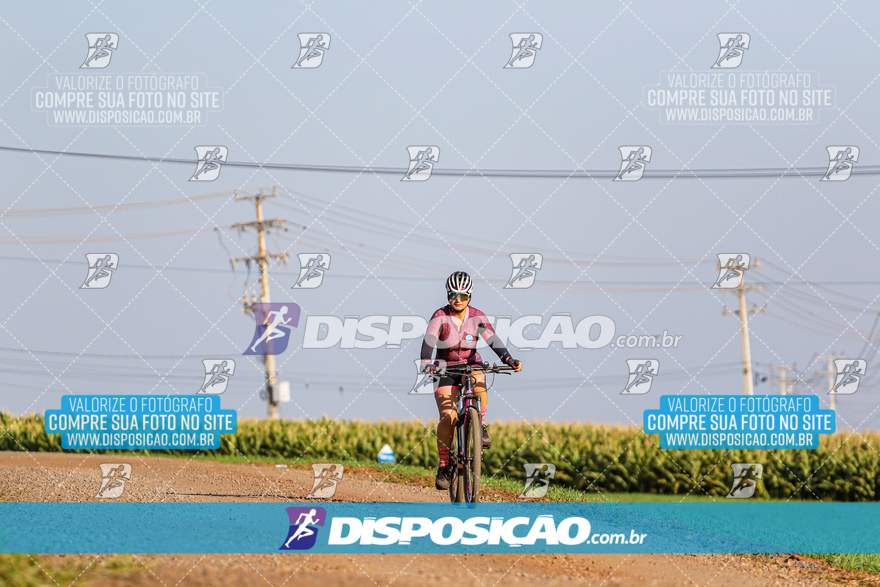 V Desafio MTB Marialva