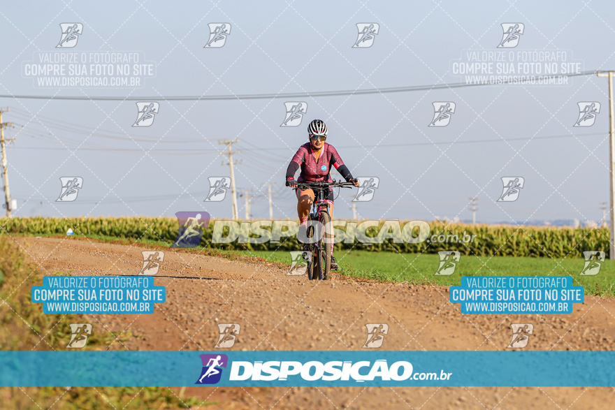 V Desafio MTB Marialva