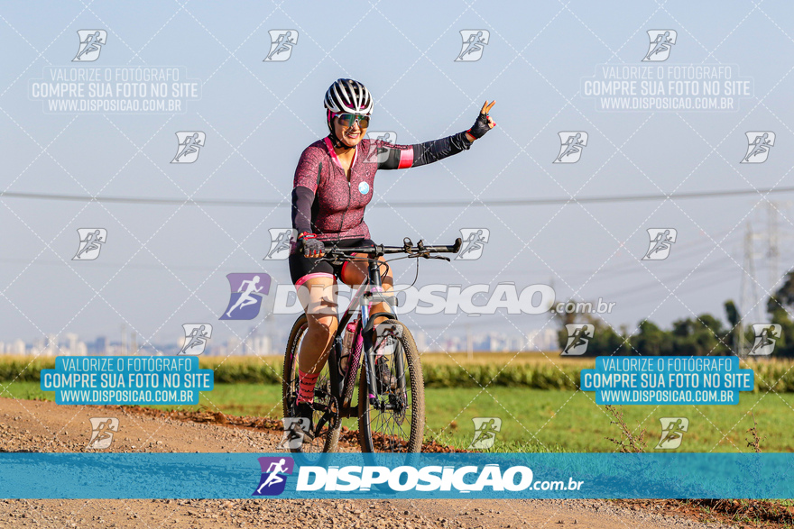 V Desafio MTB Marialva