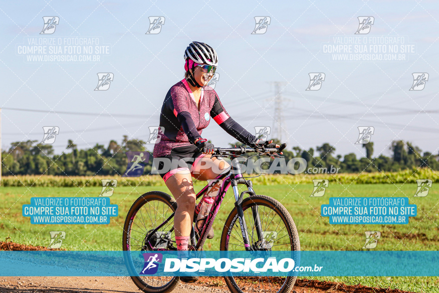 V Desafio MTB Marialva