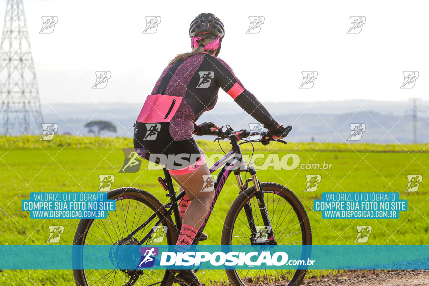 V Desafio MTB Marialva