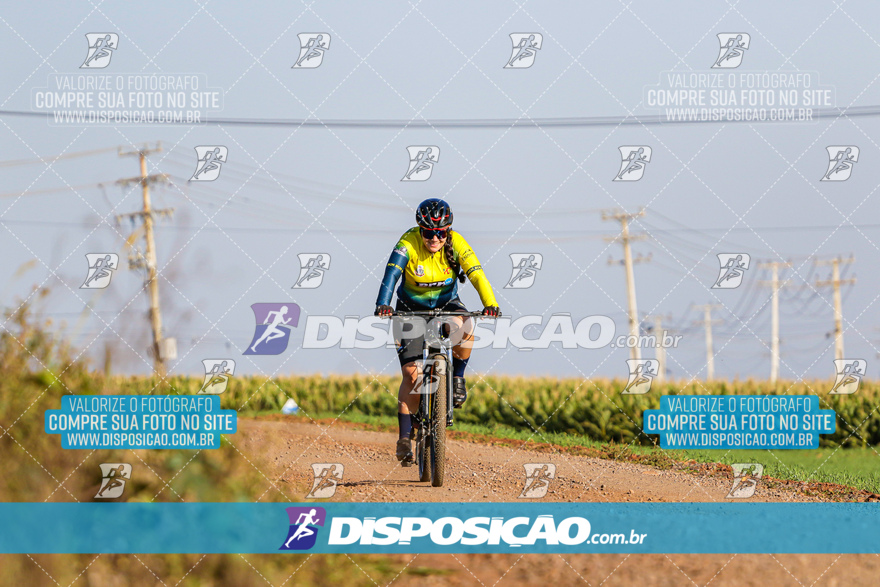 V Desafio MTB Marialva