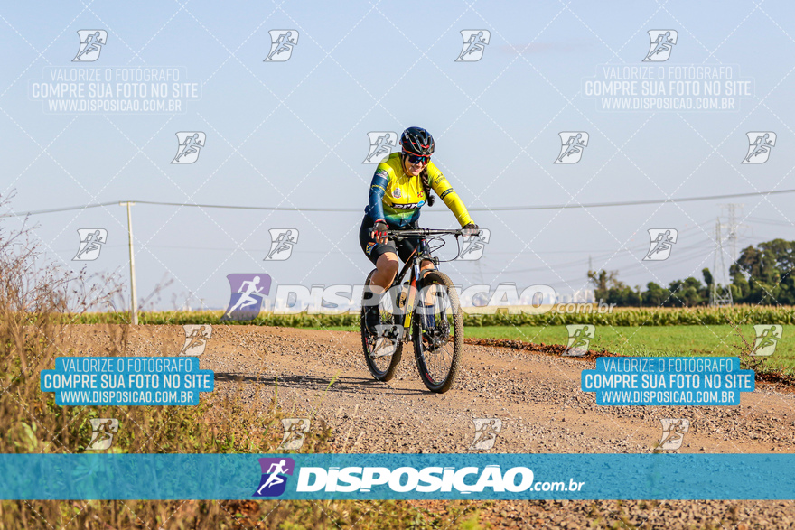 V Desafio MTB Marialva